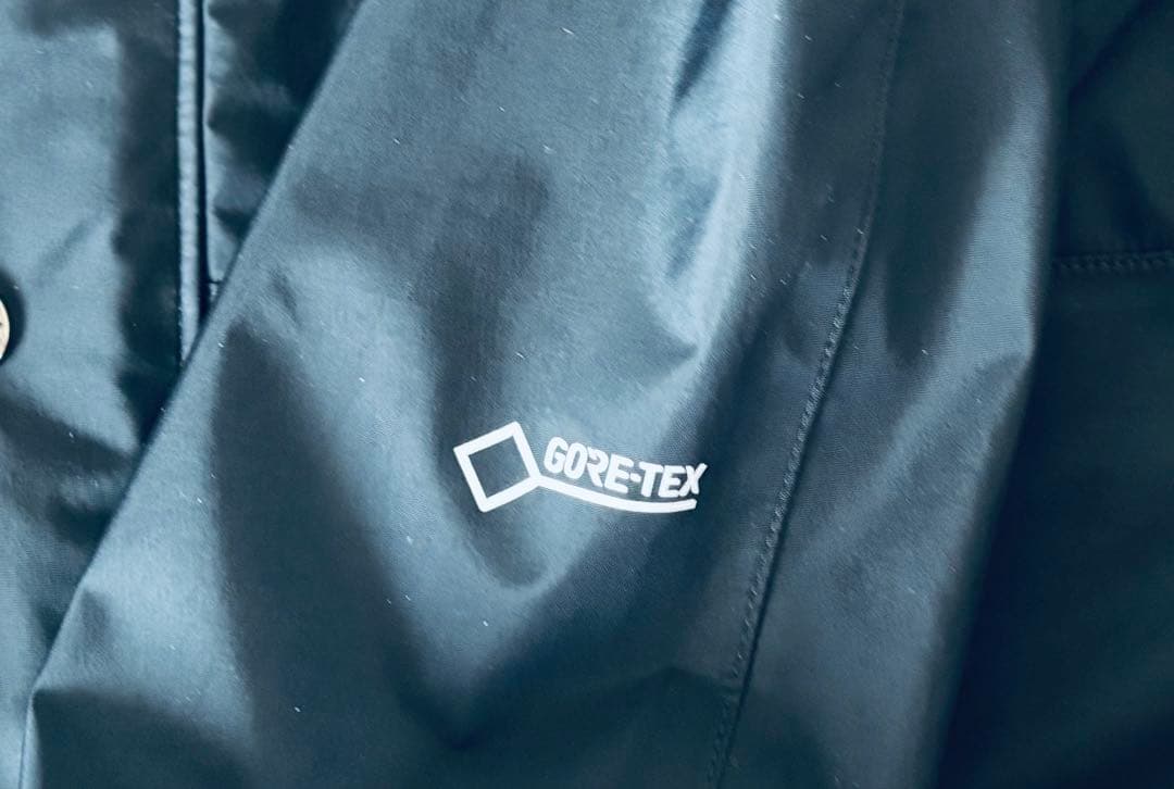 THE NORTH FACE GORE-TEX マウンテンパーカー L 黒