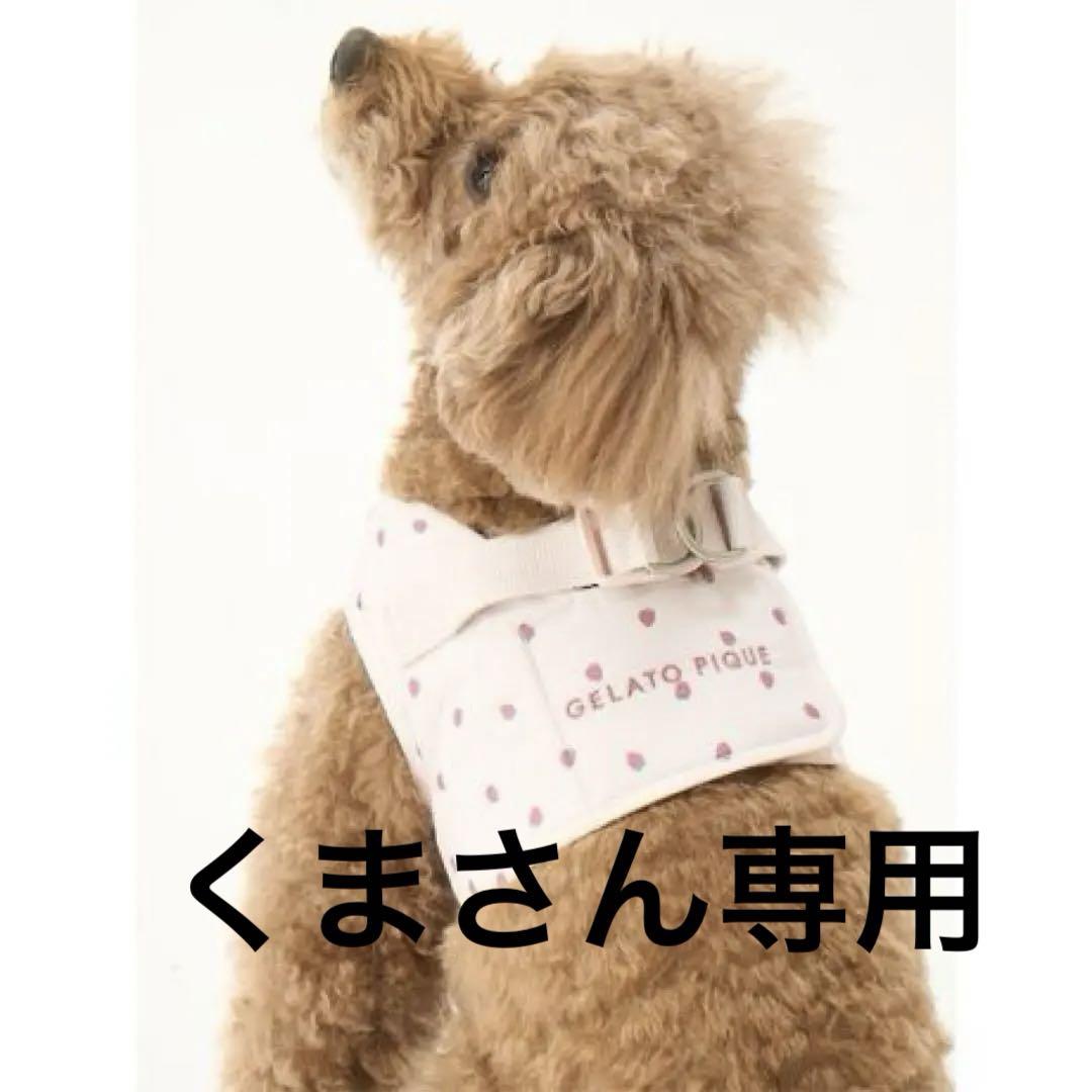 美品✨ジャラートピケ　ハーネス&リード2個セット