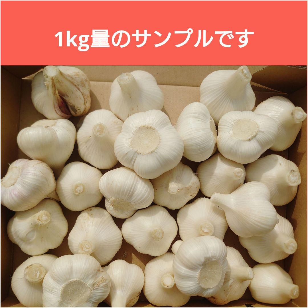 R7 No.73【にんにく／S玉／5kg】 〜青森県農家直送〜 - メルカリ