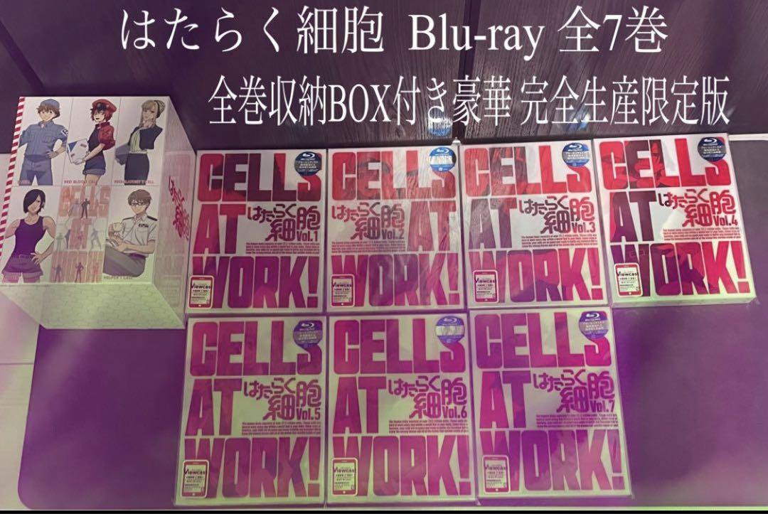 大山のぶ代 TV版 ドラえもん　vol.1～60 DVD 全60巻 全巻セット 新品ケース 交換済み 大山のぶ代 TV版 ドラえもん vol 1～60 DVD