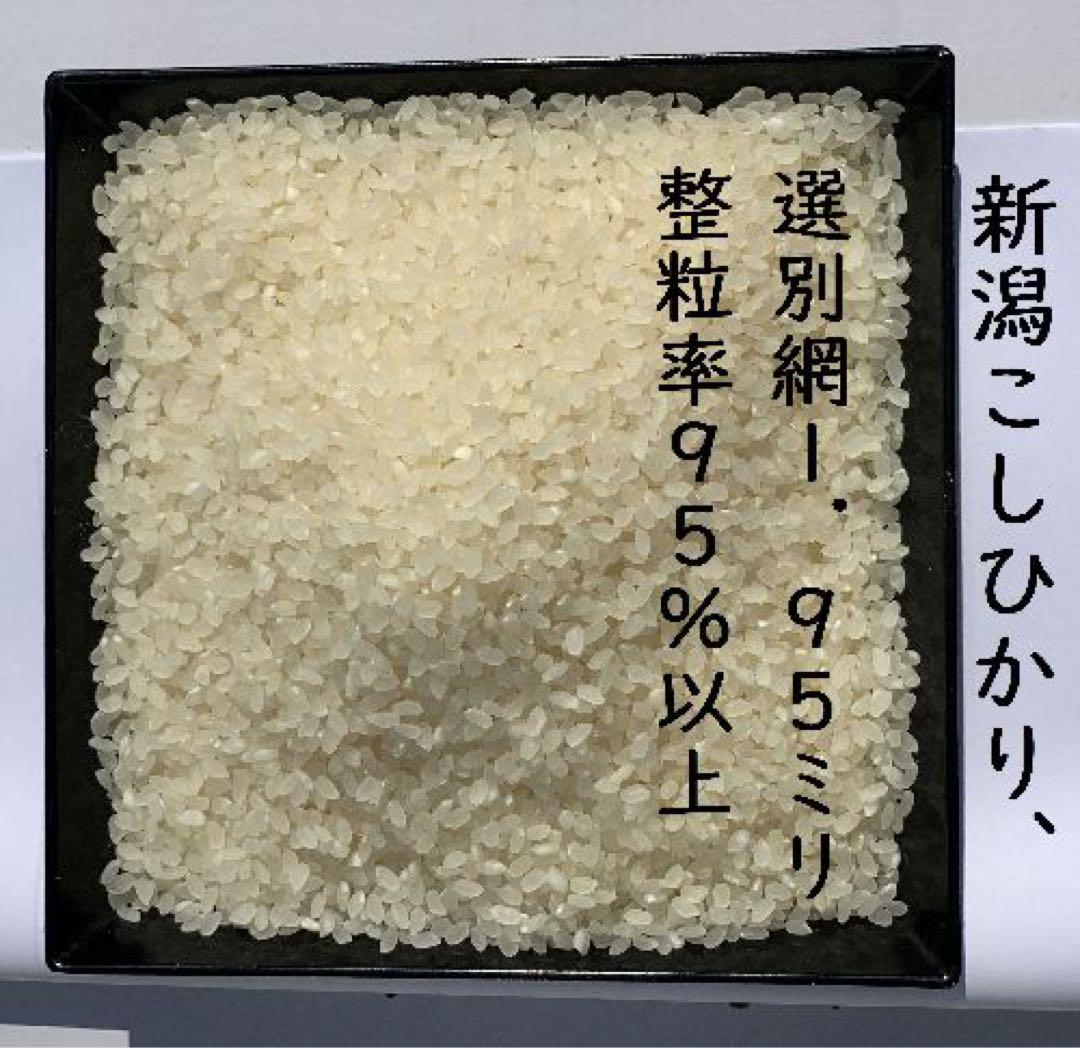 新米　令和6年産新潟コシヒカリ30kg（10k×3）精米無料★農家直送色選済10