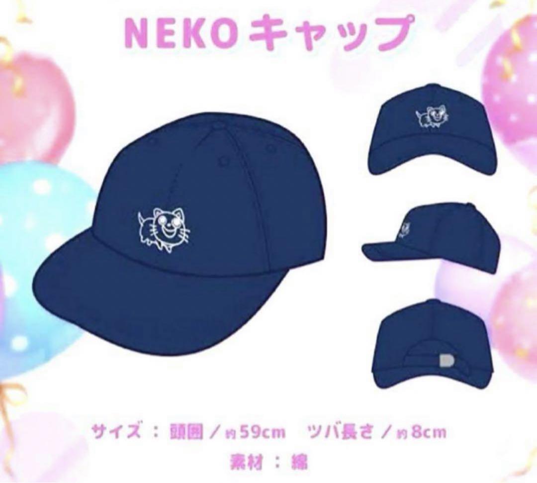 ホロライブ 湊あくあ 誕生日記念2021フルセット 数量限定ver. 直筆サイン