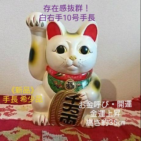 ✨存在感抜群！お金呼び 招き猫☆白猫右手上げ10号手長 大型