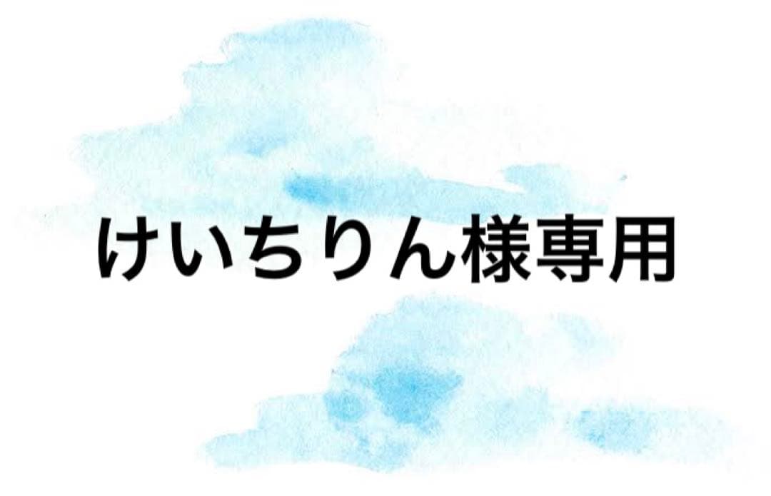 けいちりん様専用 | tubosoliveira.com.br