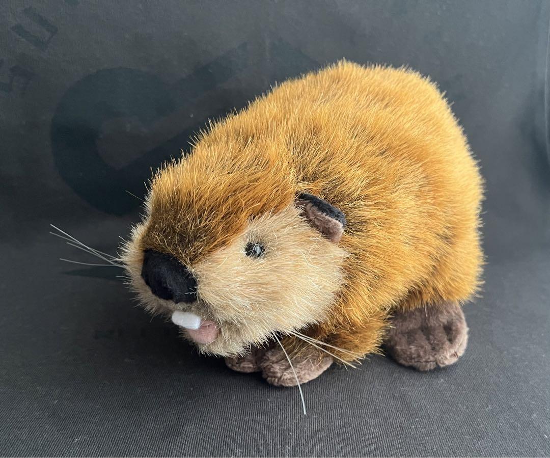 スーパービーバーちゃん ぬいぐるみ SUPER BEAVER
