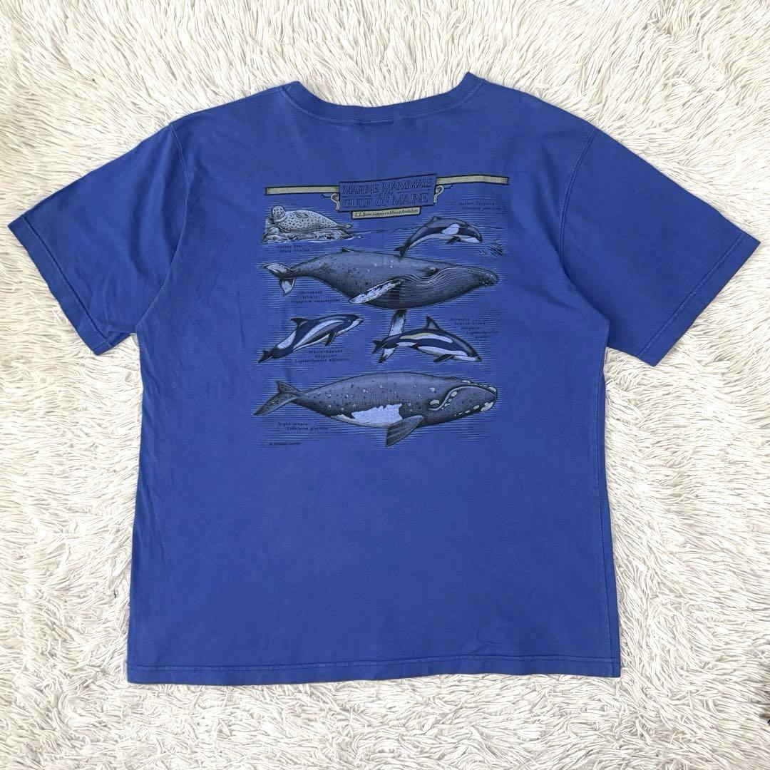90s L.L.Bean 海洋哺乳類 Tシャツ 鯨 イルカ シャチ アザラシ