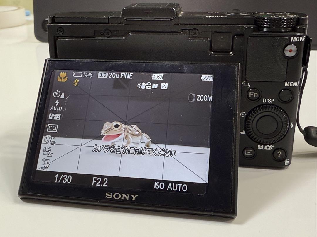 【値下げしました】SONY ソニー DSC-RX100Ⅱ