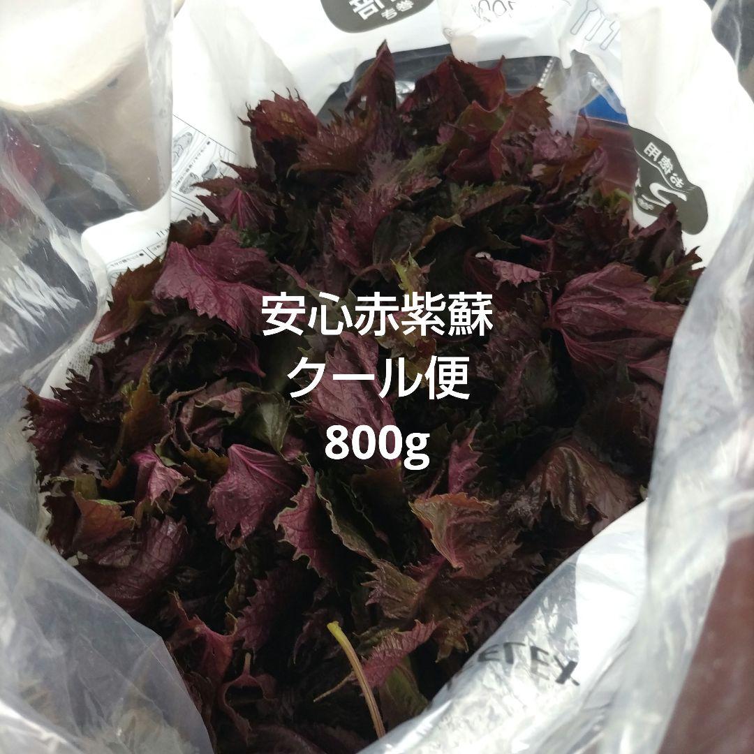赤紫蘇800g強　サイズ80クール便