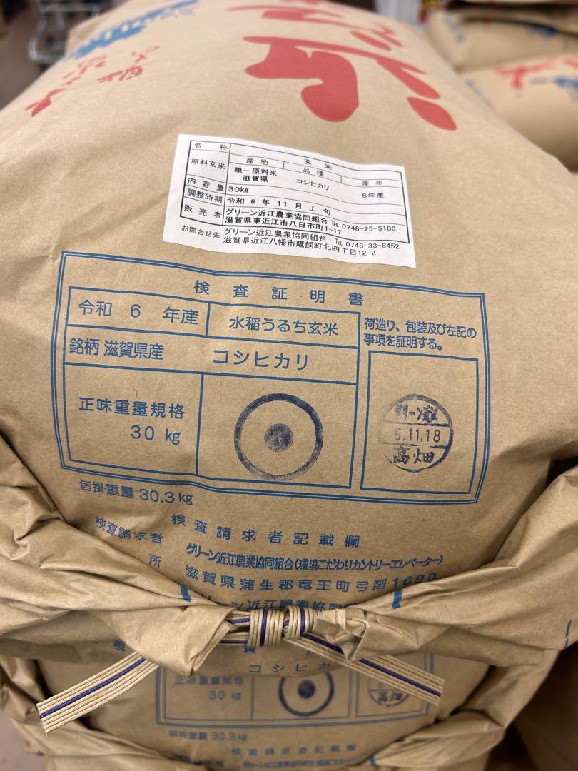 滋賀県産コシヒカリ令和6年産玄米15Kg JA検査1等