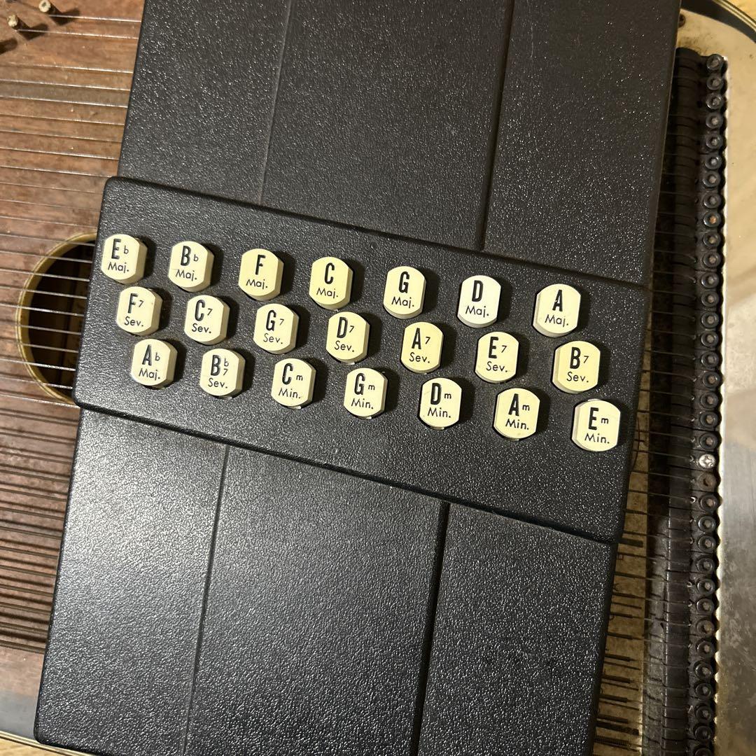 弦楽器 Oscar Schmidt Autoharp