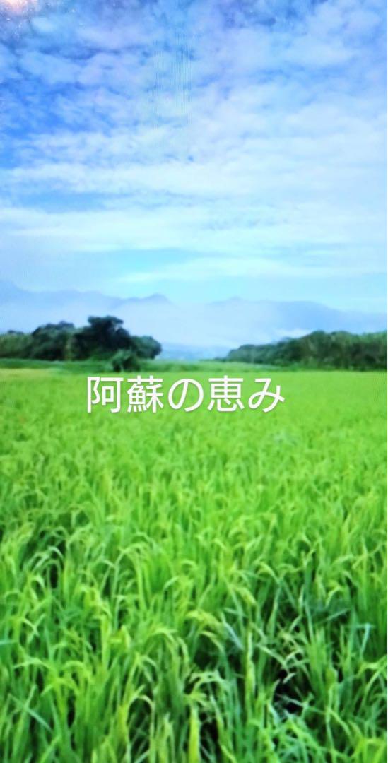 令和6年産　朝日5キロ
