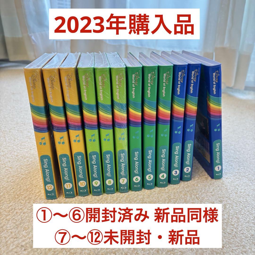 【半分未開封・美品】2023年購入品 シングアロングブルーレイ　DWE