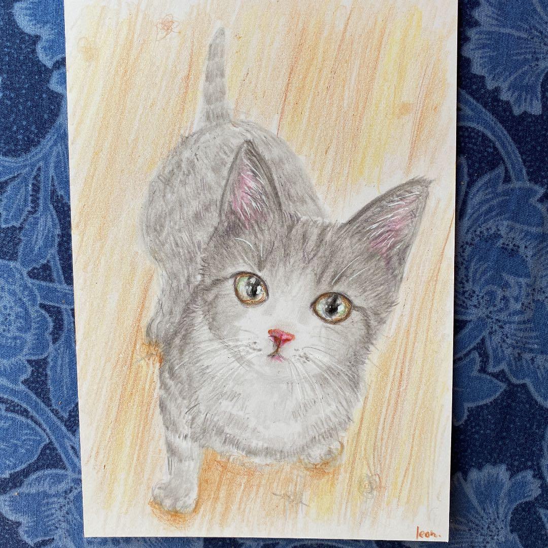 ご予約品 猫 絵画 子猫 イラスト 水彩色鉛筆画 原画 手書き 見上げる猫ちゃん Mariachimitierramedellin Com ご予約品 猫 絵画 子猫 イラスト 水彩色鉛筆画 原画 手書き 見上げる猫ちゃん Mariachimitierramedellin Com