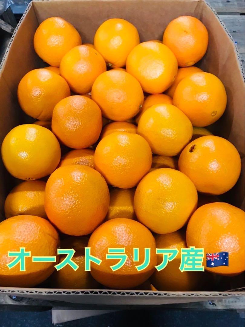 ネーブルオレンジ　オーストラリア産