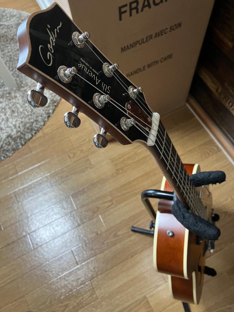 【未使用新品】Godin フルアコ 5th Avenue Kingpin P90