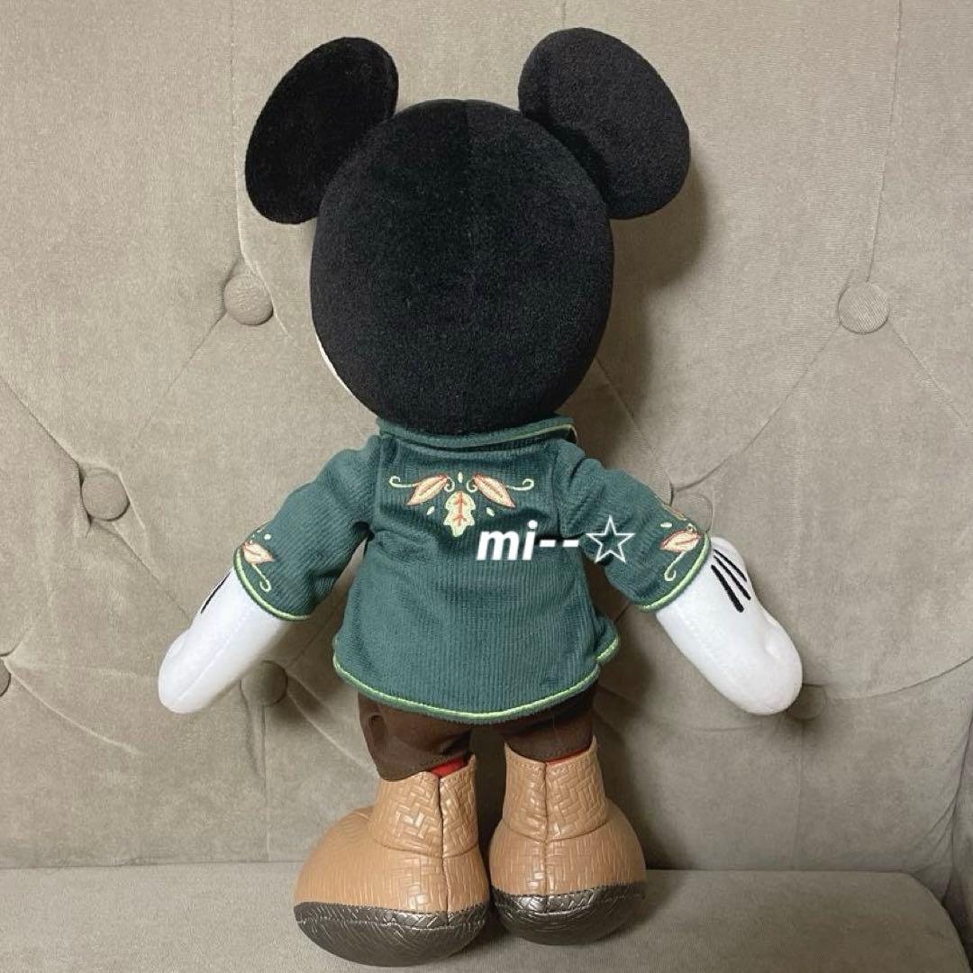 ディズニーフォレストシアターマジカルミュージックワールドミッキーミニーぬいぐるみ東京ディズニーリゾート