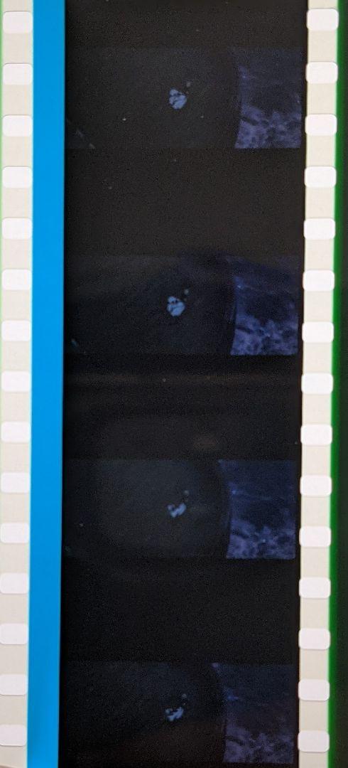 好評正規店 うさぎ様専売品 コマフィルム4種 mIZep-m34830025450 格安即納