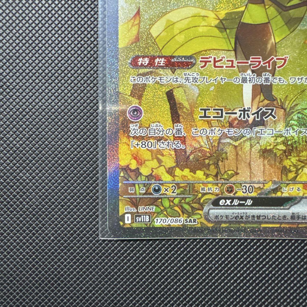 メロエッタEX SAR