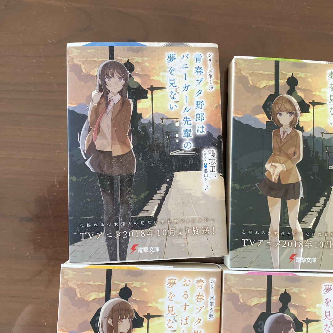 青春ブタ野郎はバニーガール先輩の夢を見ない 青春ブタ野郎はバニーガール先輩の夢を見ない (Seishun Buta