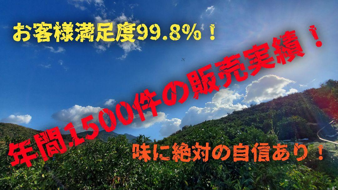 熊本県産みかん『 不知火(デコポン)』箱込み9.9kg サイズ MIX