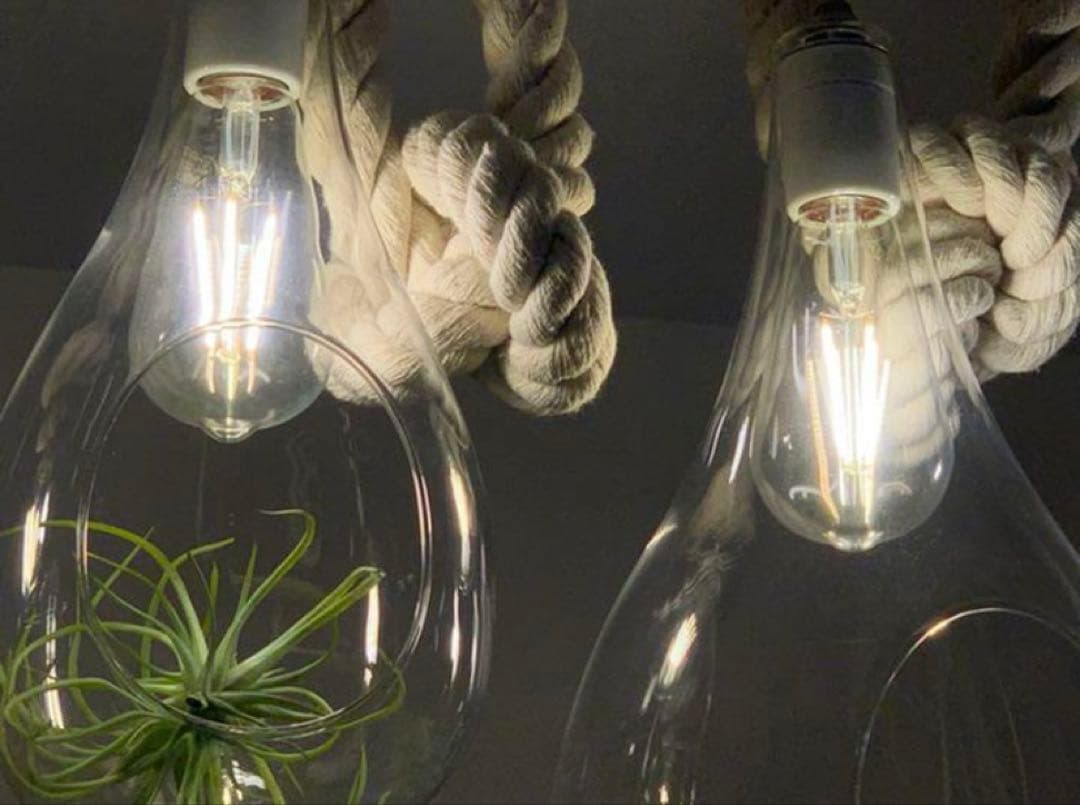 BOTANIC HANGING LIGHT ボタニックハンギングライト4個セットSWAN NEXPOTALLINN_EU