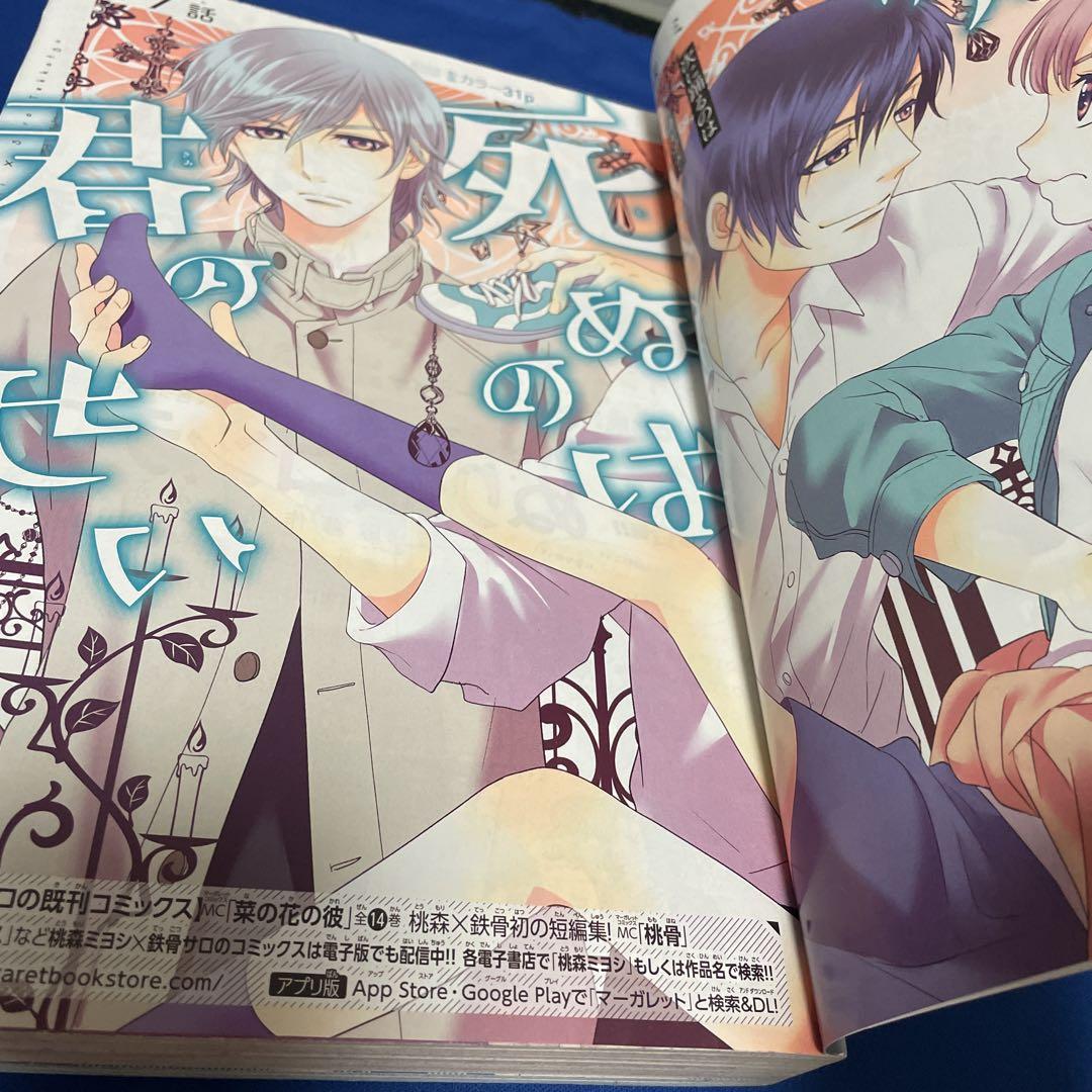 最新モデル マーガレット2018年14号 少女漫画