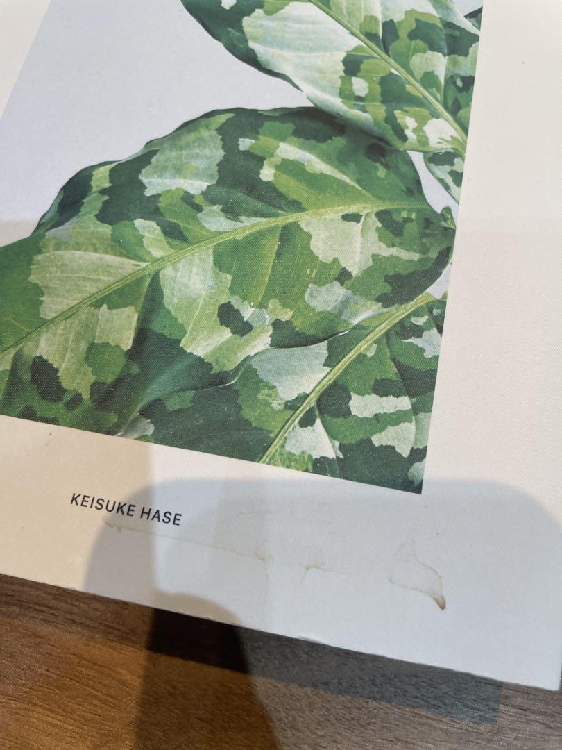 MIST LOVERS -Rainforest Plants- セット