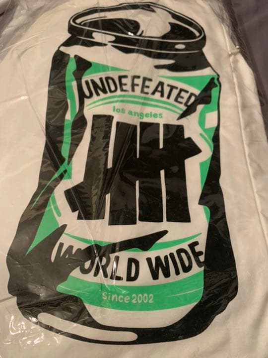 送料無料(一部地域を除く)クッション undefeated × wastedyouth