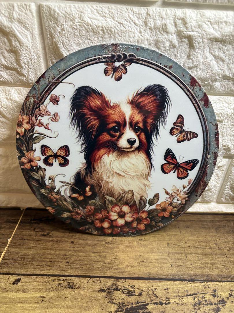 特別価格★【原画】『ディモルフォセカ』（花　植物　犬　チワワ　パピヨン　癒し） 特別価格☆【原画】『ディモルフォセカ』（花 植物 犬 チワワ