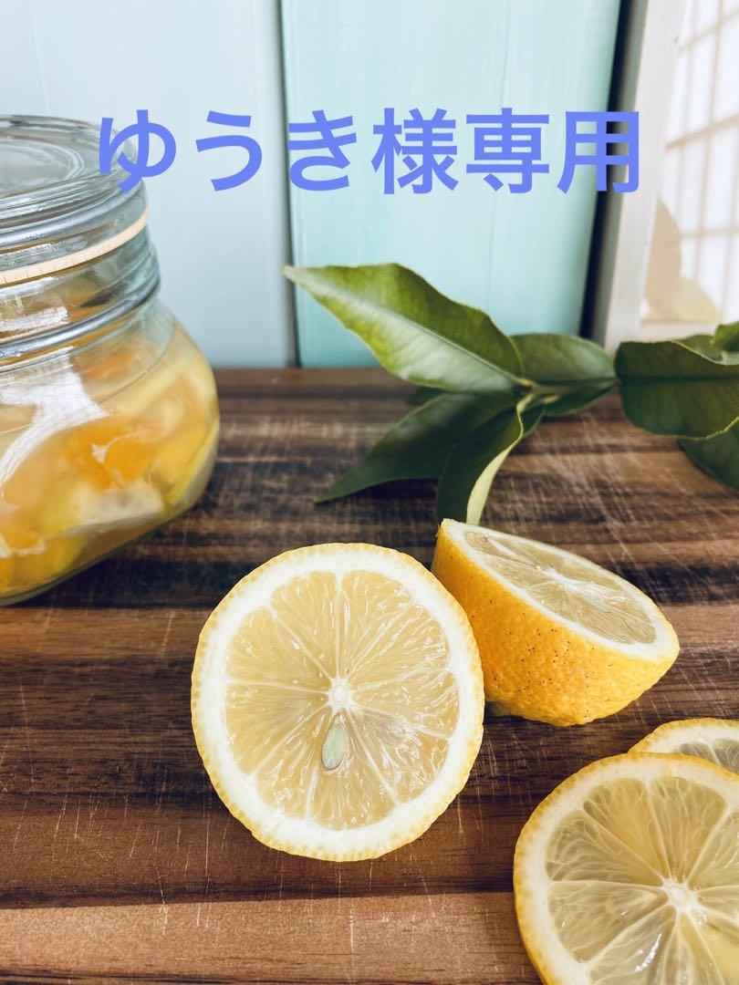 ゆうき　せとだレモン農薬は不使用　2.5kg