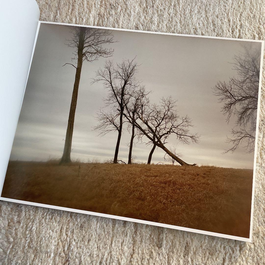 豊富な人気SALE Todd Hido 写真集 サイン入り hMF2B-m34900274177 超激安得価