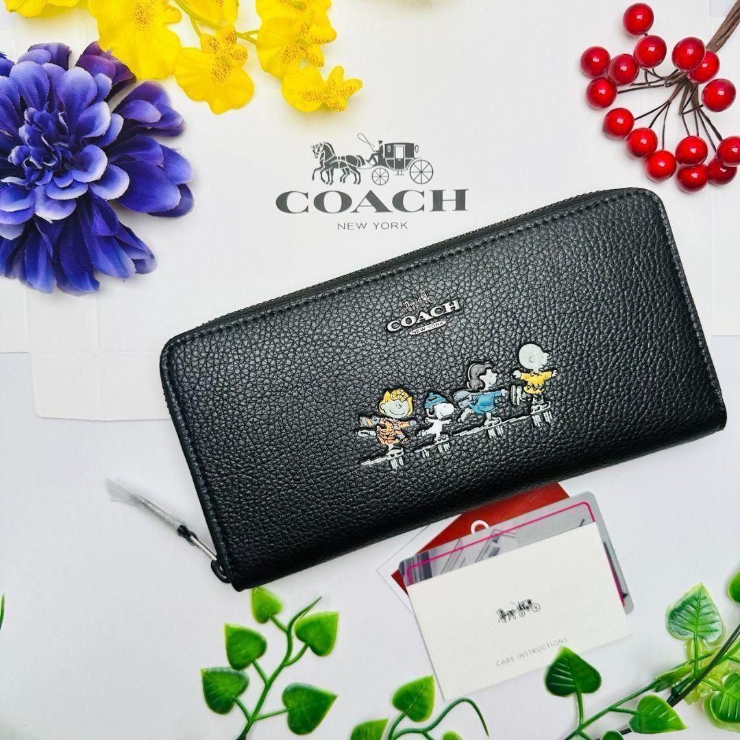 新品　正規品COACH コーチ　袋付