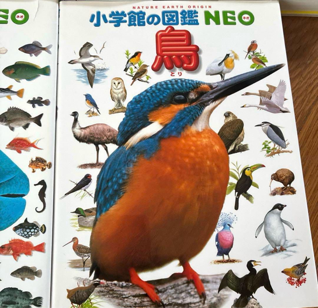 12冊】図鑑NEO プレNEO セット 小学館 まとめ売り 動物 植物 人間