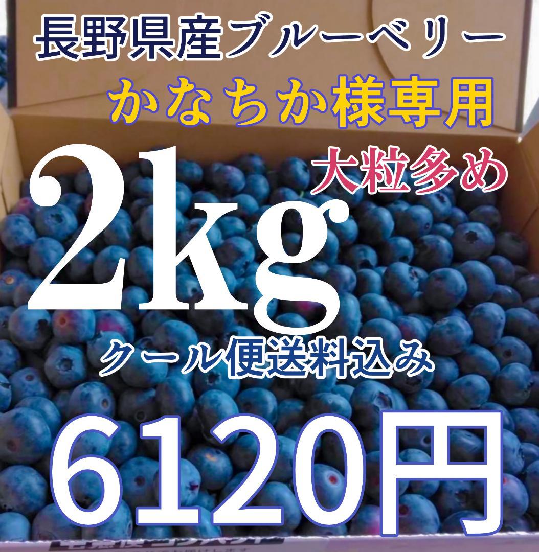 かなちか　長野県産 ブルーベリー 2kg 大粒多め