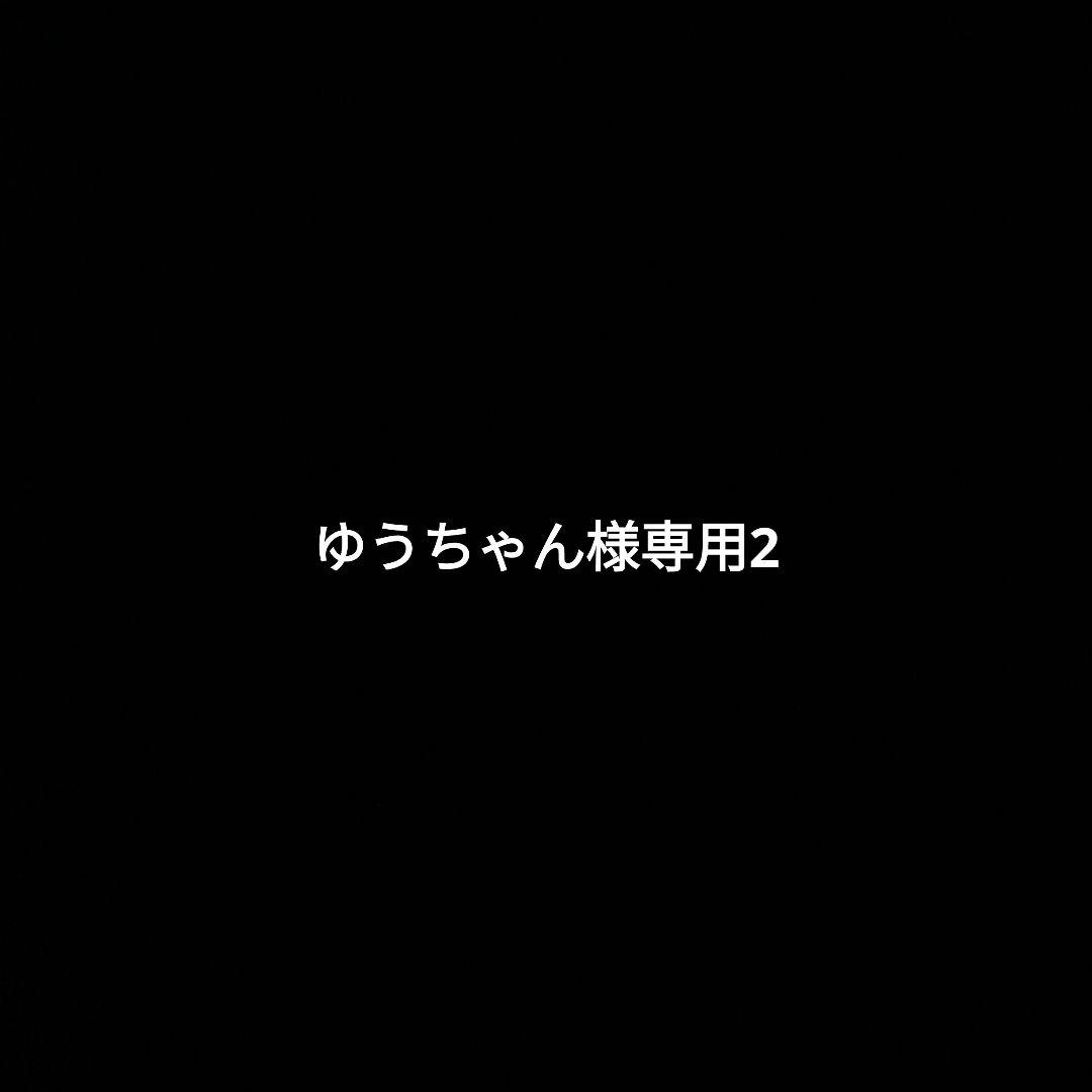 ゆうちゃん様専用2