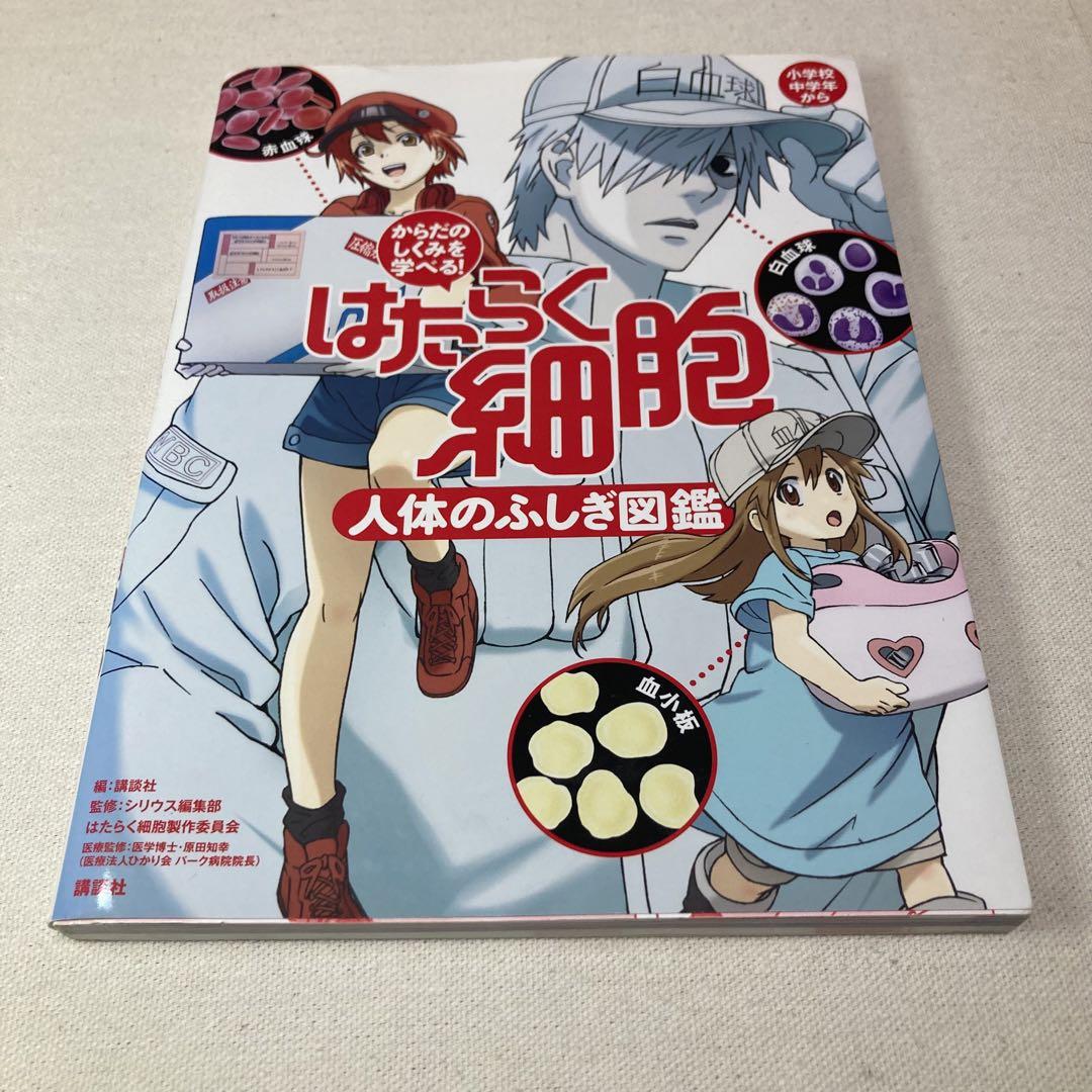 はたらく細胞学習本セット　めくって学べる! からだのしくみ他