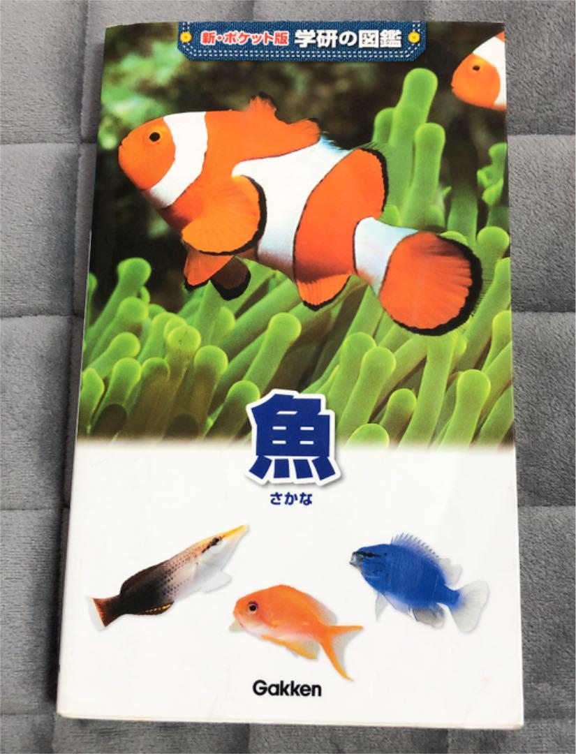 メルカリ 魚図鑑 絵本 500 中古や未使用のフリマ メルカリ 魚図鑑 絵本 500 中古や未使用のフリマ
