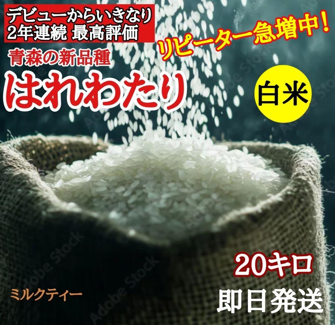 青森県産　最新品種　特A米はれわたり 20キロ 　白米　新米　10kg×2袋