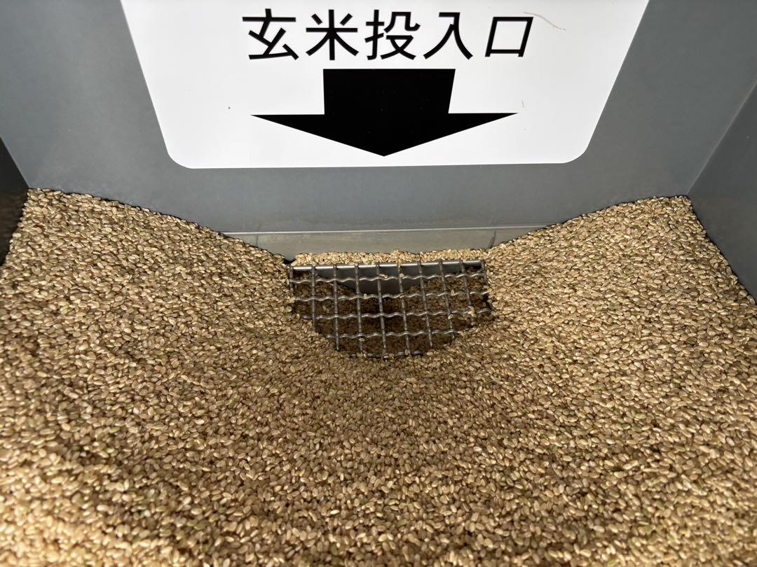 コシヒカリ　新米　15キロ　送料込み　甘み　冷めても美味しい