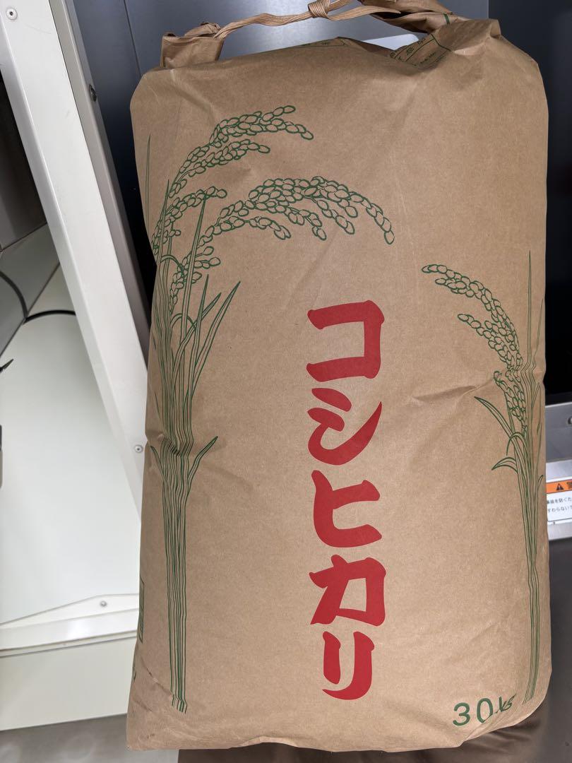 コシヒカリ　新米　15キロ　送料込み　甘み　冷めても美味しい