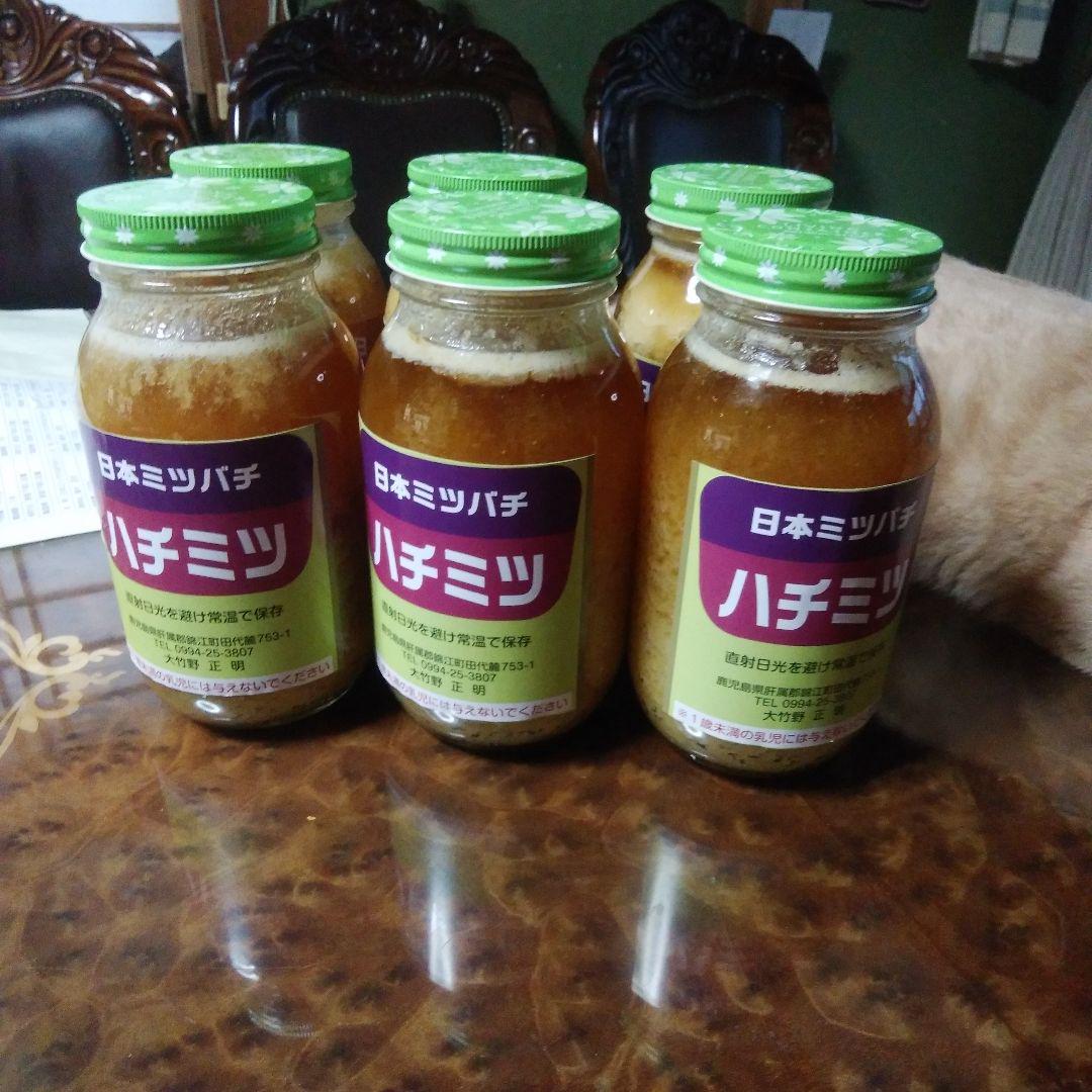 日本ミツバチのはちみつ