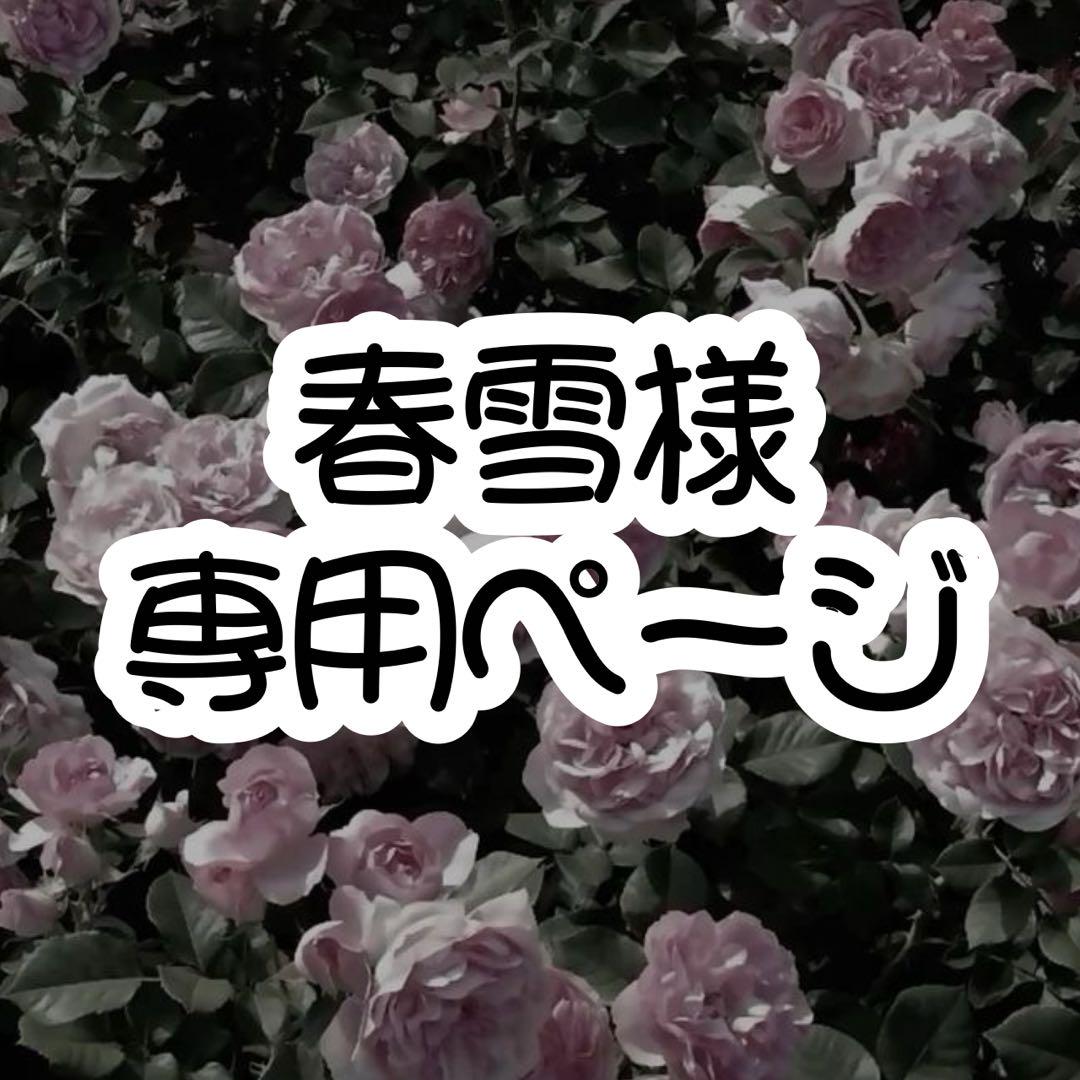専用ページ