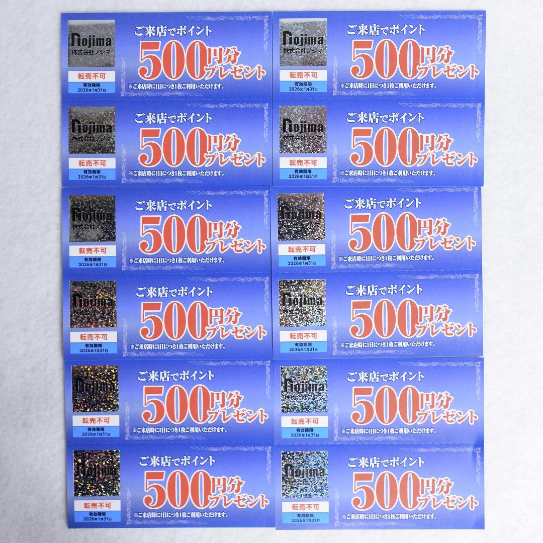 12枚 6,000円分 匿名配送 ノジマ 株主優待 ご来店ポイント