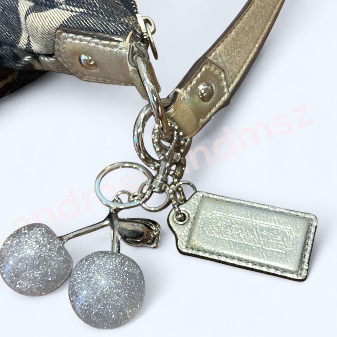 Coach Signature Shoulder Bag コーチ　デニム