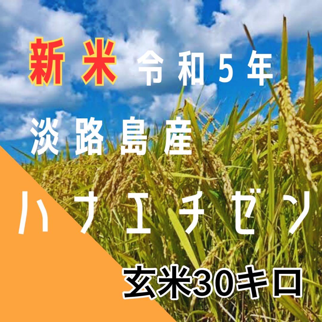 新米 令和5年 産 ハナエチゼン 玄米30キロ 淡路島 精米小分け可　　30kg