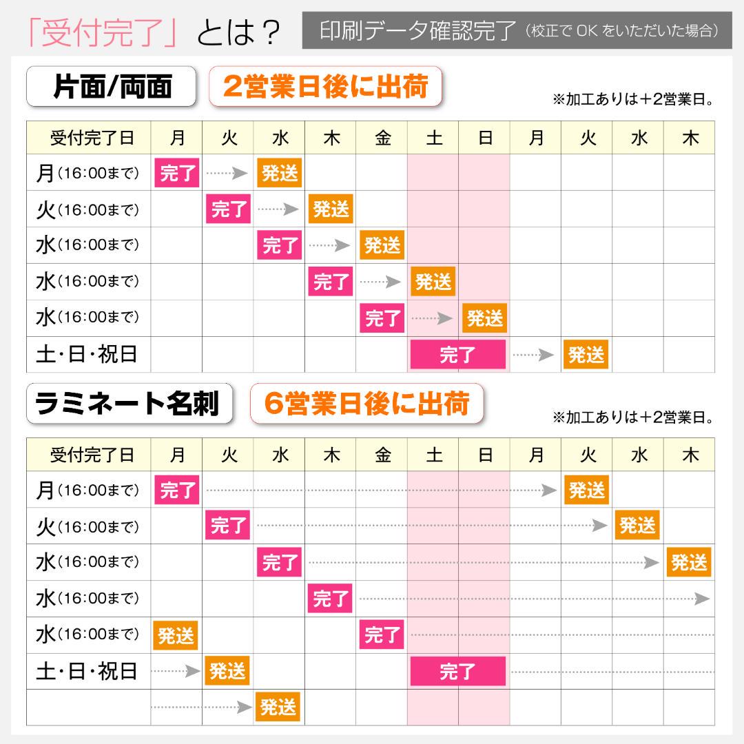 セミオーダー!プロのデザイナーが作る商業印刷の高品質名刺両面100枚/Y0013