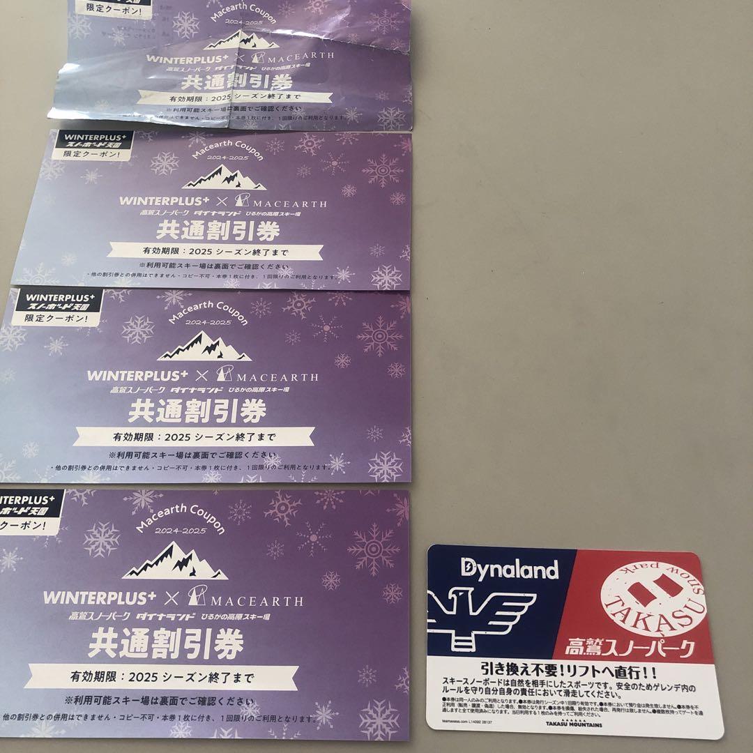 高鷲スノーパークダイナランド1日リフト券