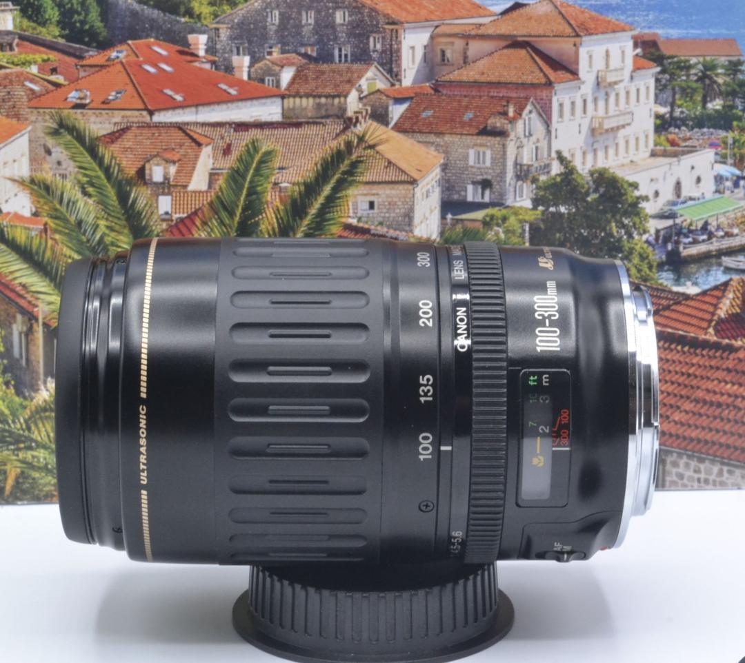 毎日がシャッターチャンス！Canon キヤノン EF100-300mm#5 毎日がシャッターチャンス！Canon キヤノン EF100-300mm#5