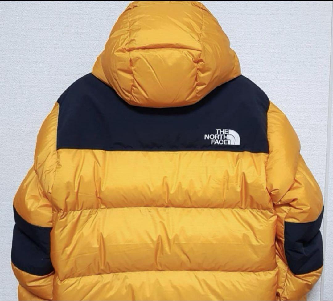 THE NORTH FACE SUMMIT SERIES ダウン