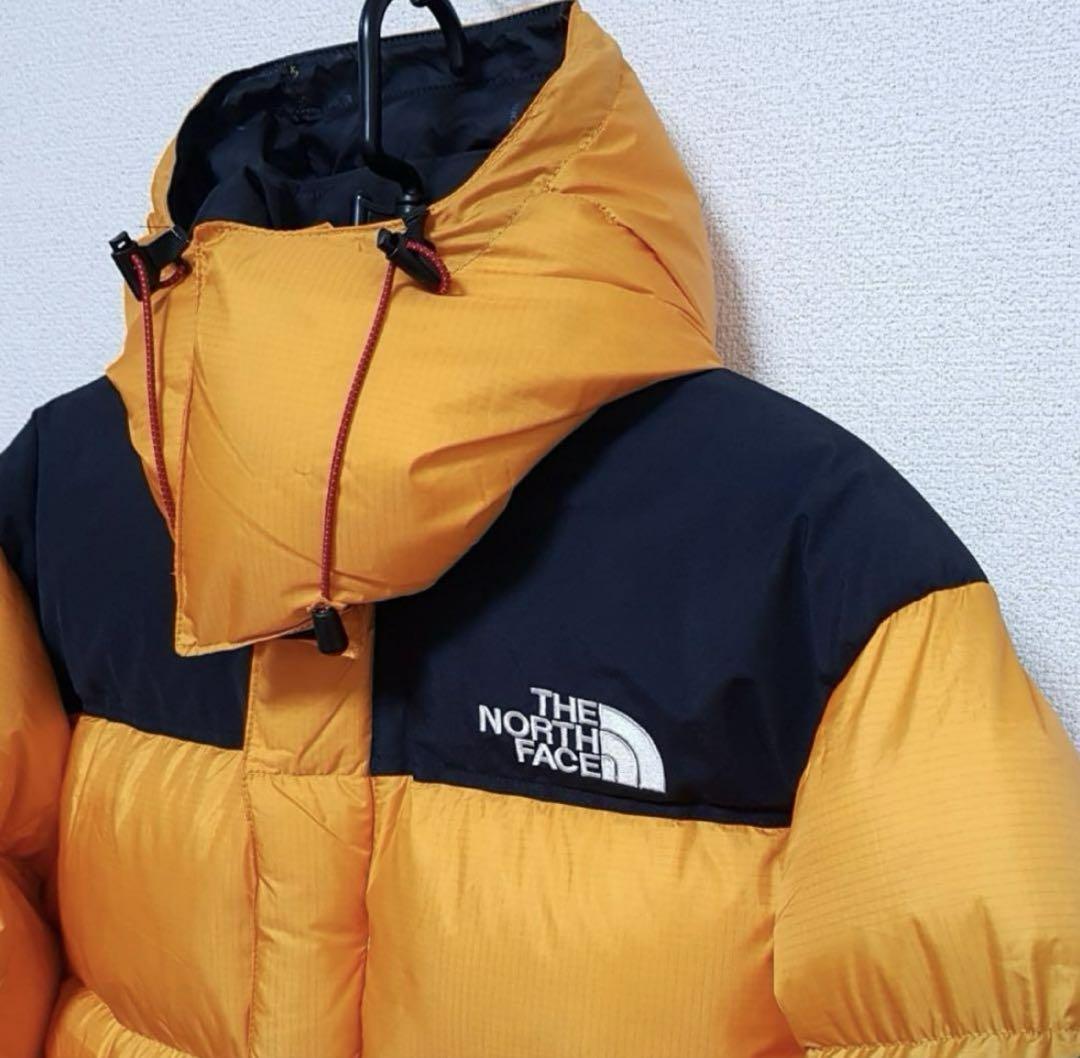 THE NORTH FACE SUMMIT SERIES ダウン